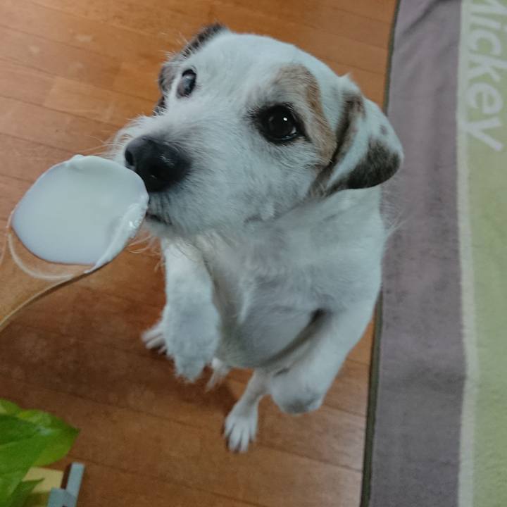 3ddf084c 81c2 4566 9e2f b18162dc9f35 1541462273675