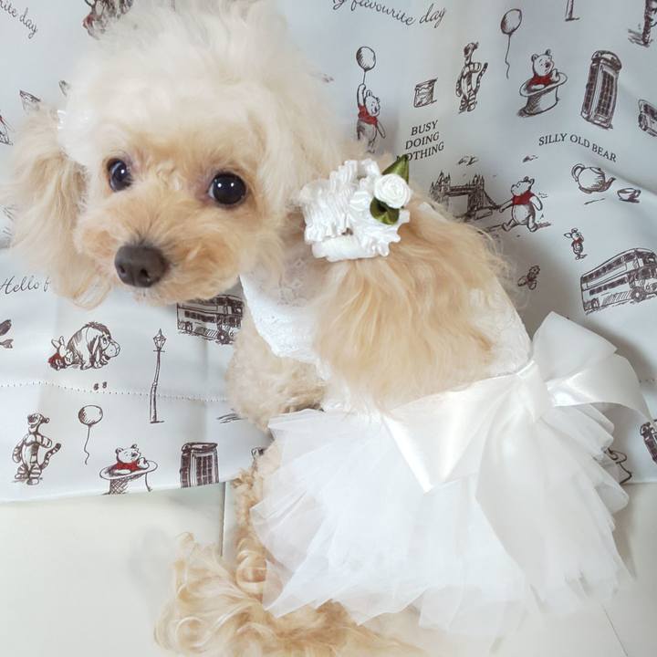 3ddf0ca3 9bb4 4382 8b93 842e2a8b01f1 1660992811856