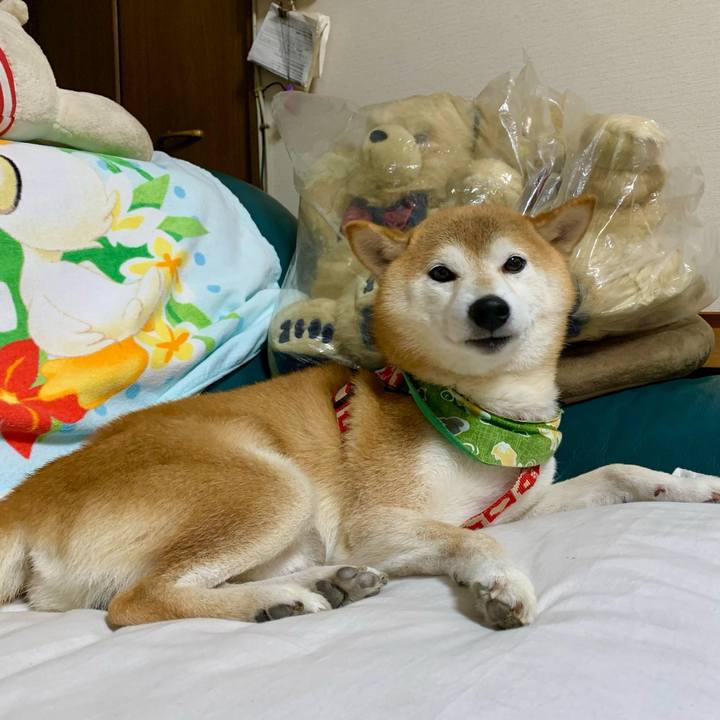 3ddf2a9f 2026 40ed b6e6 473adcb41c90 1635848861292