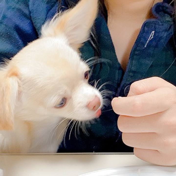 3ddf4384 f45d 408a 8454 4e5f9e6903cb 1601600446764