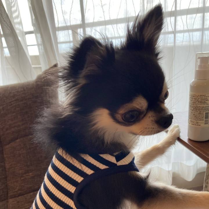 3ddf90ab e96c 4936 bb75 968fecc24123 1716719593637