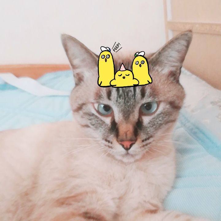 3ddfd6d5 ab16 48f0 bdfb eb3720ed2e58 1564439276925