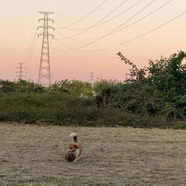 3ddfff61 67c6 48ba ab45 d4cc817bee47 1732665902131