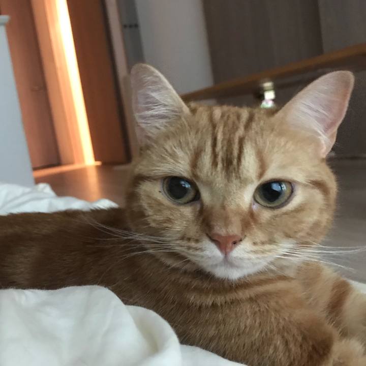 3de05ce2 1493 49c7 8d1d e6ed81ac016e 1530834204939