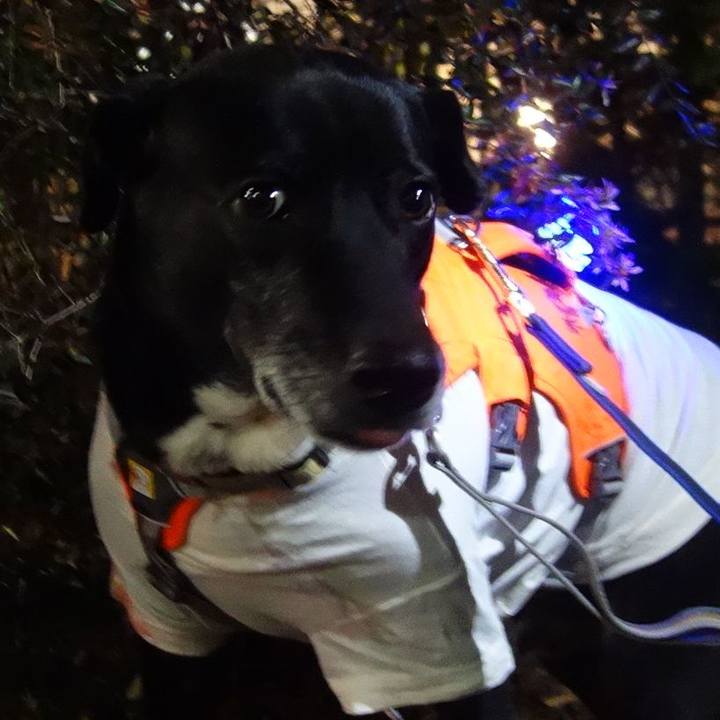 3de05d3b 2df9 424c 8d57 d049f9c8fb3a 1704711276714