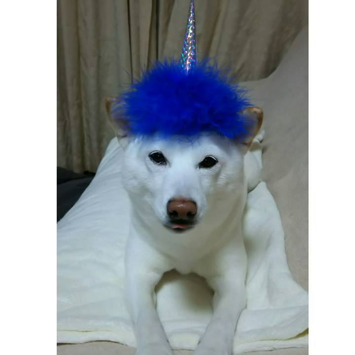 3de094a4 63ea 4323 bd9a 76b2a316304c 1517573507273