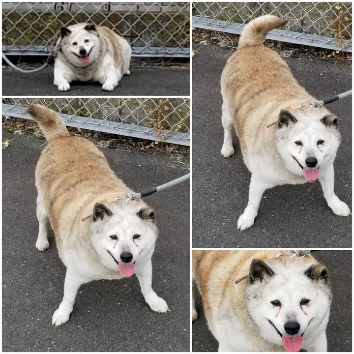 3de09efc 7c1c 4f15 86fb 509a2690144c 1713656798833