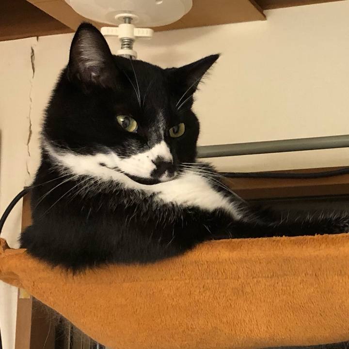 3de0deda 1fda 46a5 8b5d b86f167aeab1 1575517467920