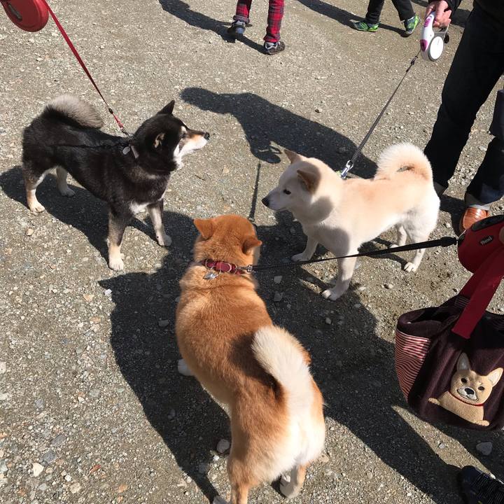 3de0ea32 5d88 429d 8293 208305f8c781 1554292106466