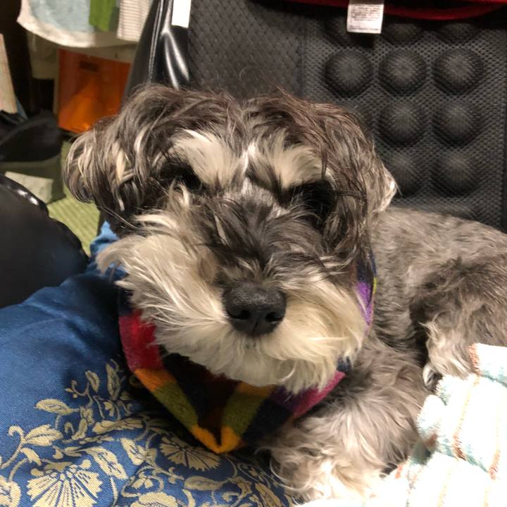 3de10fb7 851e 4517 8d2a ebe9b8eb8dff 1518361176485