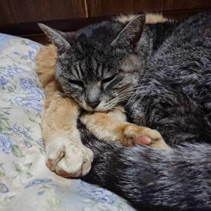 3de1394f fff9 4a06 9bc0 511f8e36d5ca 1581945707009