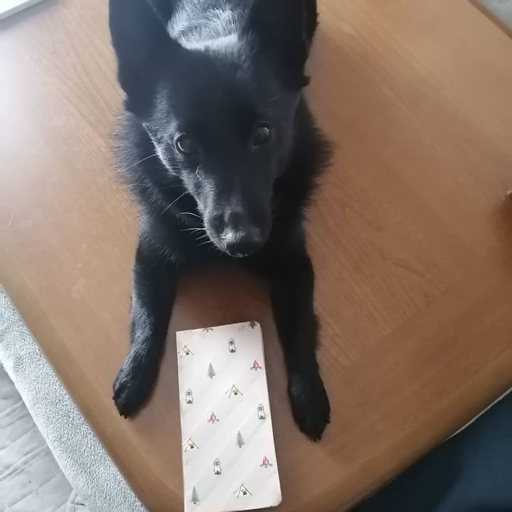 3de176c2 db05 479e 80e5 62f873fb821e 1612239512925