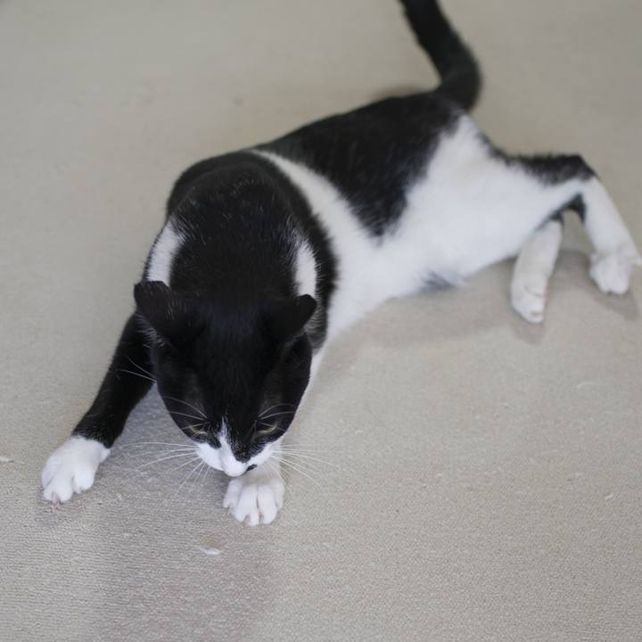 3de1a945 ec13 4c64 bcb6 b73067b2b1d1 1534847202292