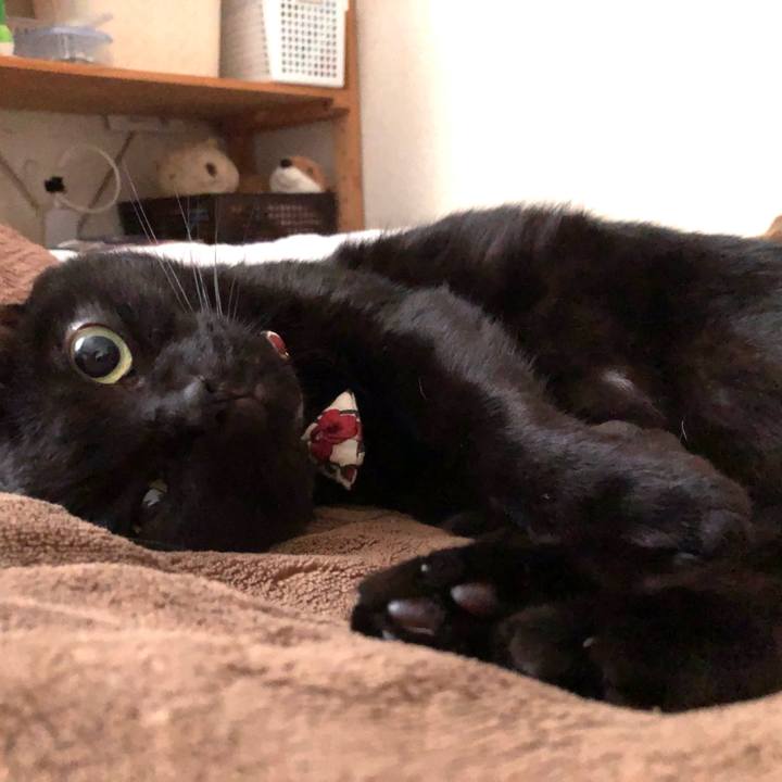 3de1cb37 6cd5 46bf 8301 5bd14a4f54d5 1585264732730