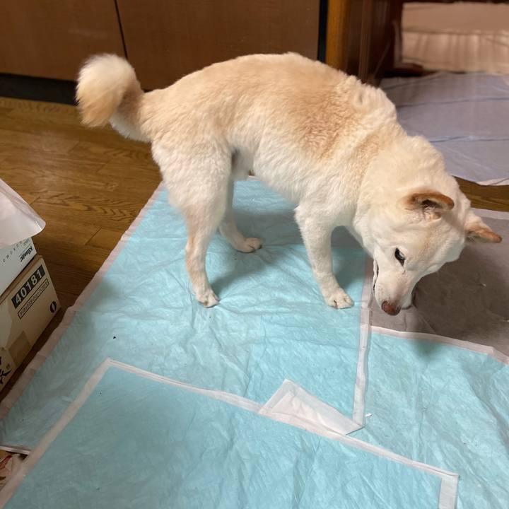 3de228ef 4cc5 45cc b834 7c3a6a6c1536 1648106161041