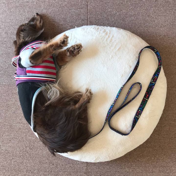 3de265da 9670 4d50 9be4 19960bbf9aa3 1580266719363