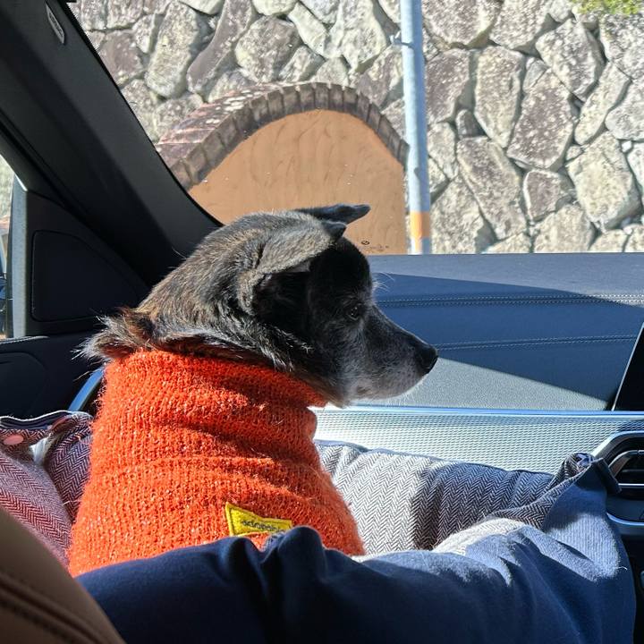 3de27ca3 19d4 4351 84e1 6fe9c82820d2 1735701327344