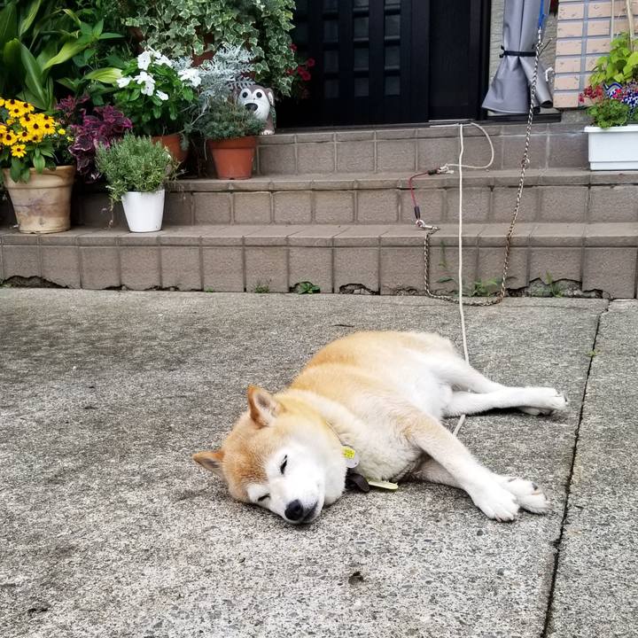 3de2a99d 4b49 4573 8e39 3609734c7af7 1658884567485