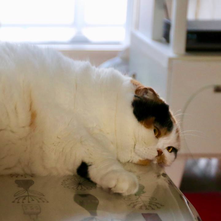 3de2b68c c589 4b11 92df b46aeb062acf 1562763181366