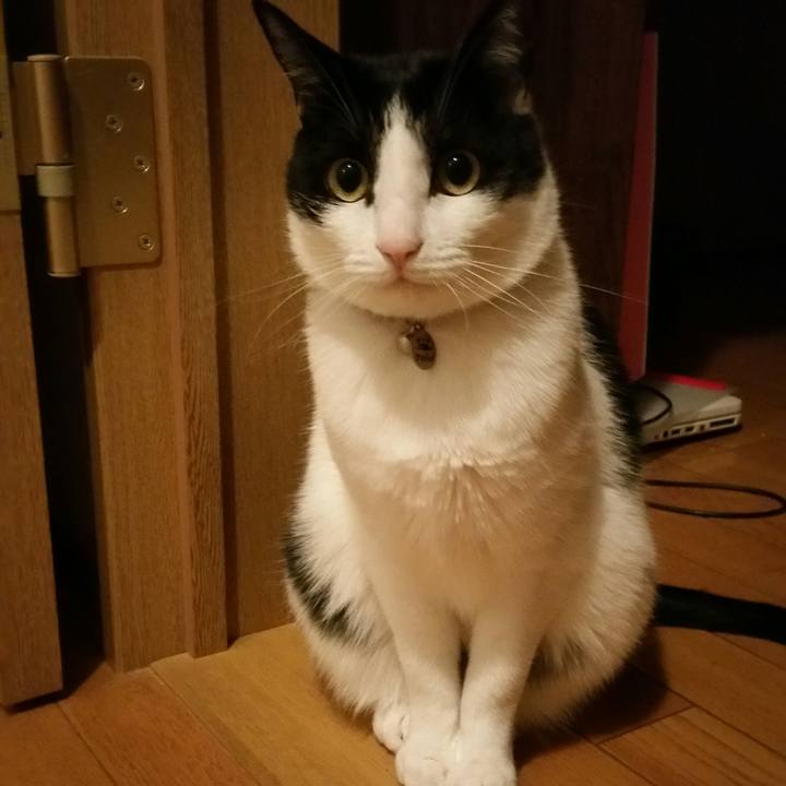 3de2b9f0 1a9b 4dc2 be43 dc2a3ebb48ea 1514987051056