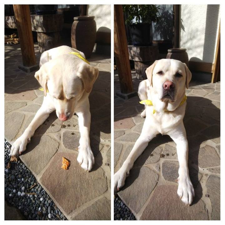 3de2c470 4fe4 4686 80c1 d2db1c05af8e 1546930014694