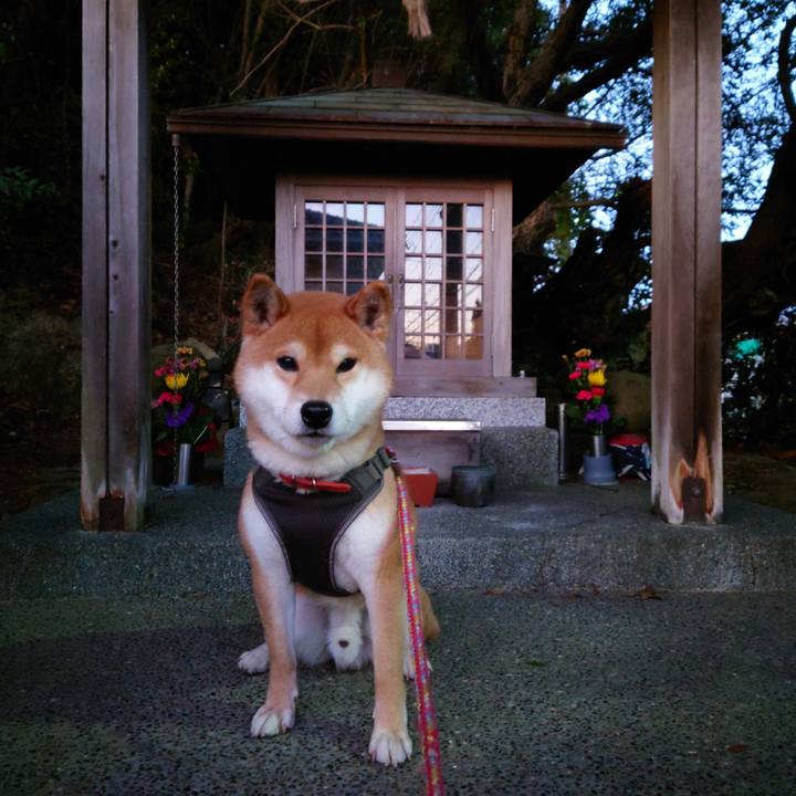 3de2e4c3 add9 4812 b6f9 15191b6feb77 1770717922346