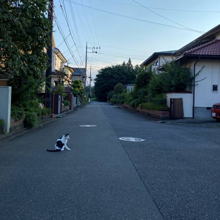 3de2eb08 6baf 46d3 a26a 0eb9236ba22c 1627818248525