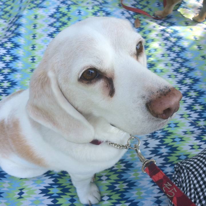 3de2f3b7 7f5a 4396 aa9a 9e4f2aaf5f78 1582560616283