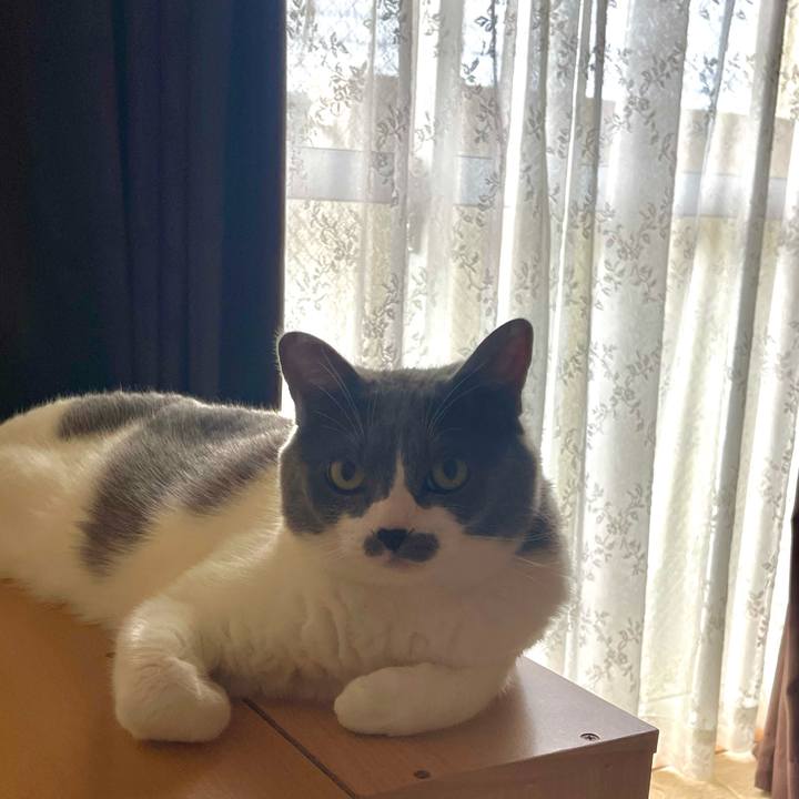 3de317f2 e852 467f 8215 4639e0bf7458 1725920589776