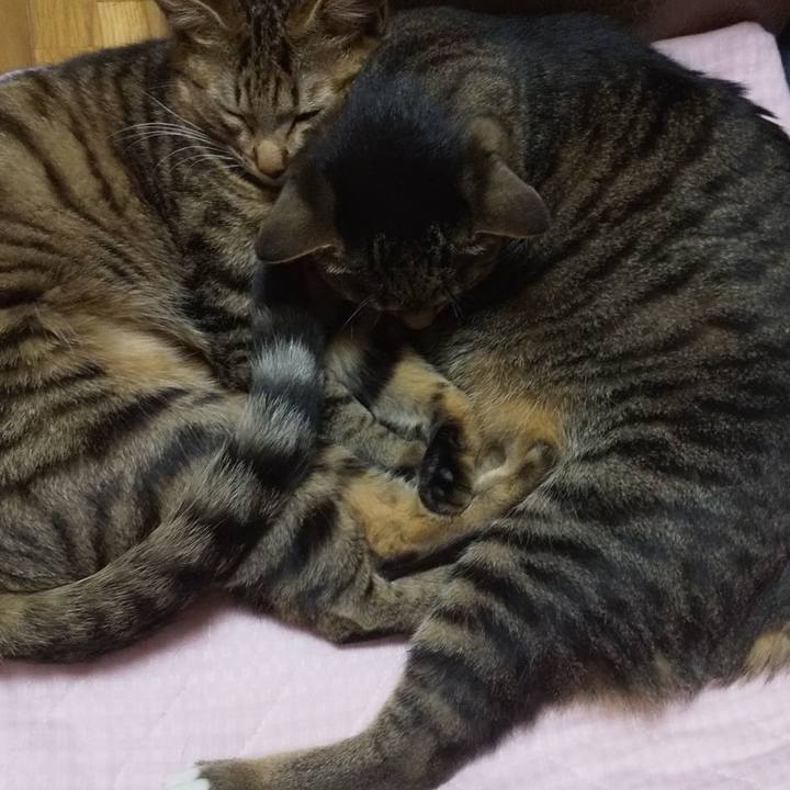 3de3314c 09d2 4523 87a8 4354eb36da9e 1653236689674