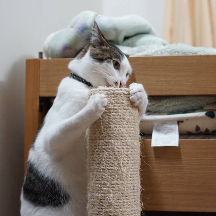 3de33828 016f 408b b75c 4fd775f12679 1527173076811