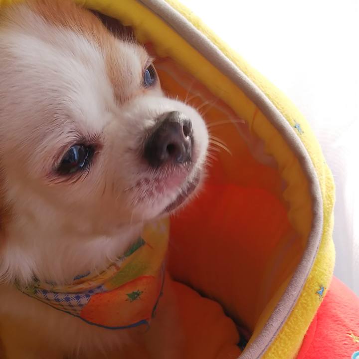 3de355df 94be 48d1 ad17 2f80b22d974c 1580522766990