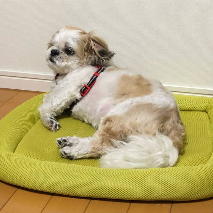 3de39711 5b19 4b40 a6f4 f4df7eca3371 1559647327739