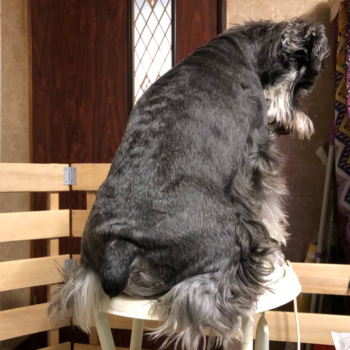 3de3aeab 0f26 458c 96cc f2e39a5cac3d 1620218616121