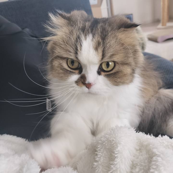 3de3d51e f010 4088 9fb7 67f6a767b01d 1767404573206