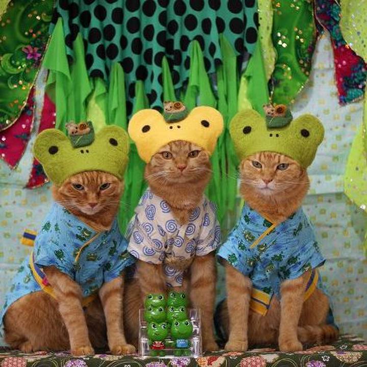 3de3d8f8 ed98 4a6e a7a2 bba37a868ac1 1591013111072