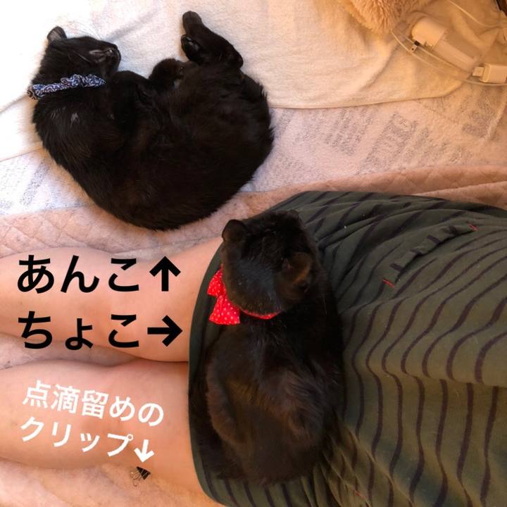 3de3e979 b1d3 47a6 ac40 6c0b11a1ff54 1555361382220