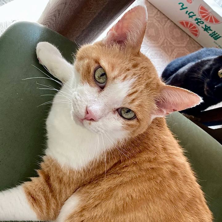 3de40f6a 5564 4a3b bd2c 136c1fb694d6 1663044073854