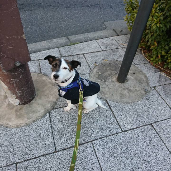 3de41df9 1581 4365 8b85 49458f53a24e 1518041628159