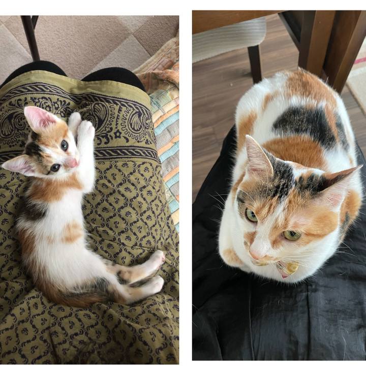 3de435db 70e8 4dce b312 f85cb7f7d23a 1631420954499