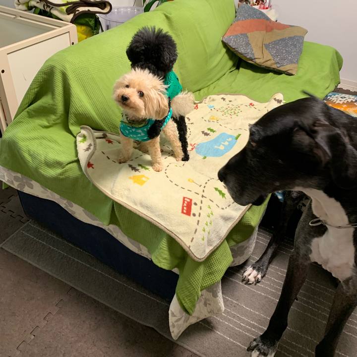 3de486e6 75cb 4f40 89c1 a2fb3b9788bd 1572475585161