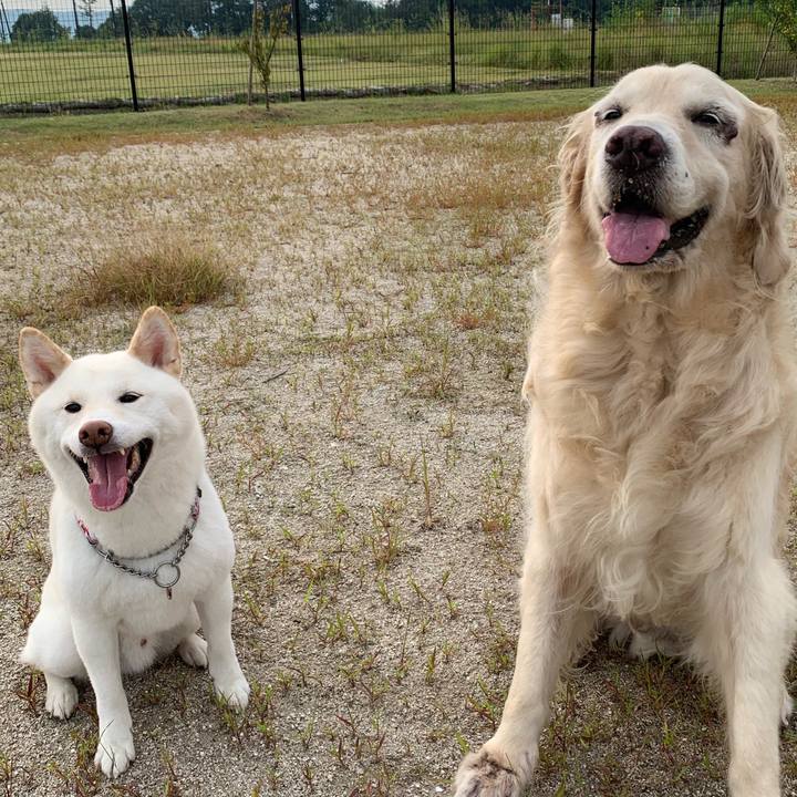 3de4edb5 627e 4c8f 9588 47936e0b3041 1565573724864