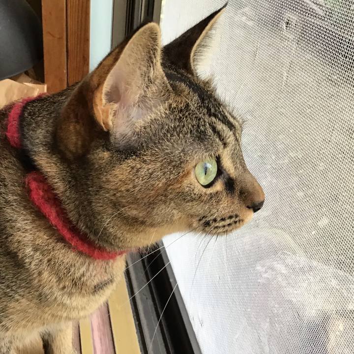 3de52c90 ada6 472a bb06 d01e7a819e2b 1601280023843