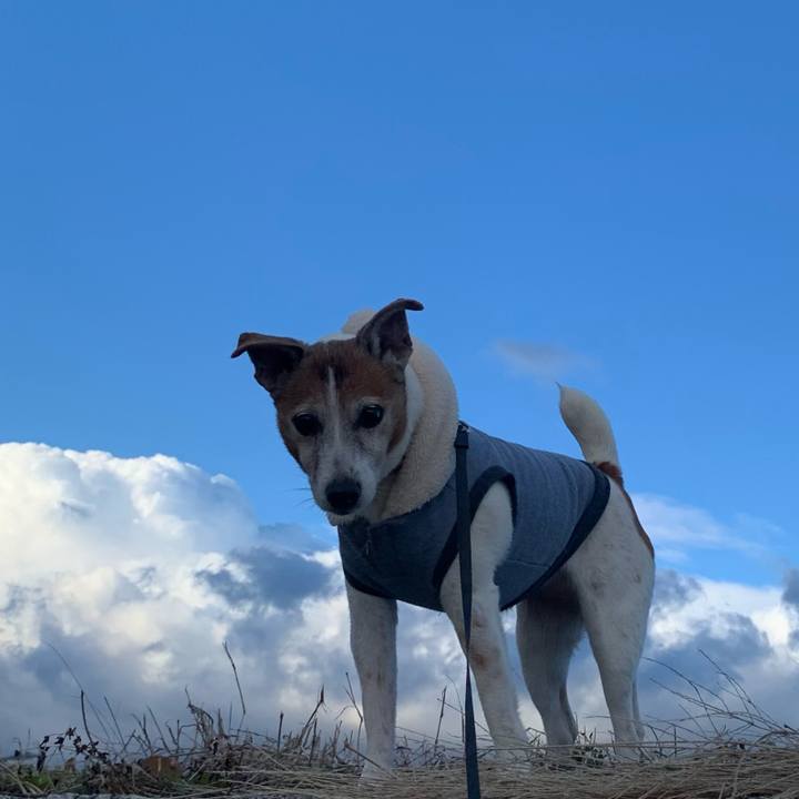 3de54655 e945 417e ac88 a3d8bac322ba 1609405073347