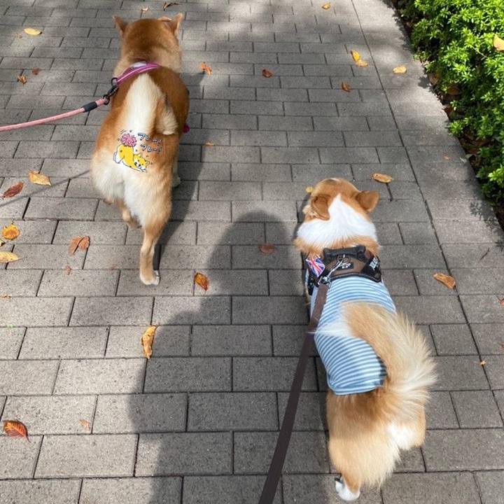 3de553f8 6903 49a3 93cf 9da50f627b47 1698207702935