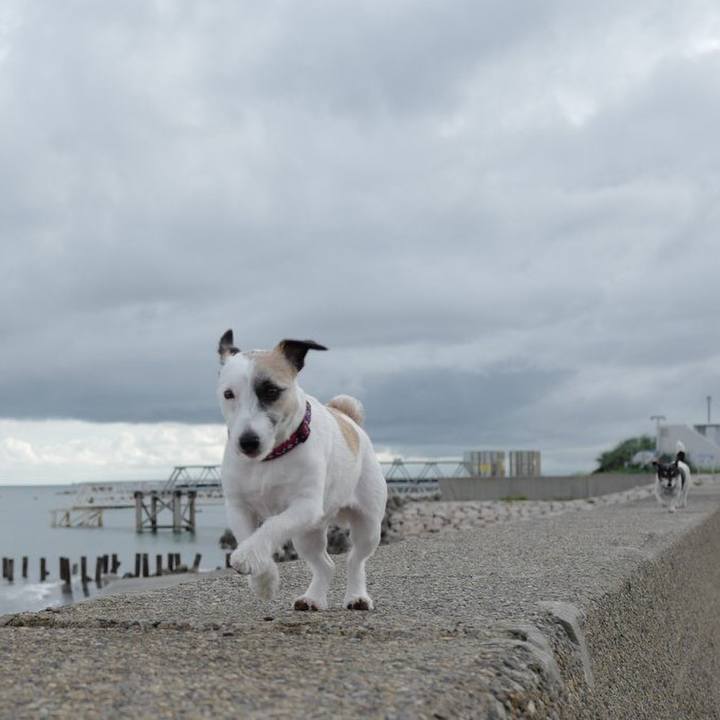 3de55ebe d304 4801 ae95 7507ce7b82b9 1559109546827