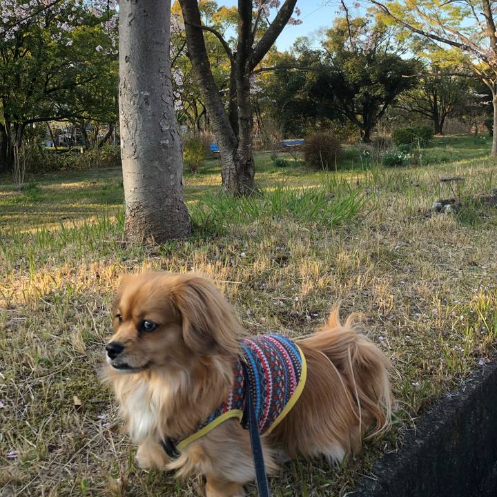 3de56ab1 8e30 4320 a197 07a0d00f18b9 1554758663459