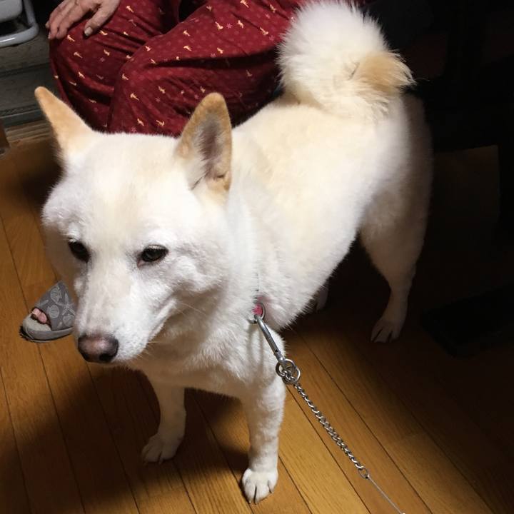 3de59d63 0a98 42c8 afe7 e8fe4fbfd82d 1539168612559