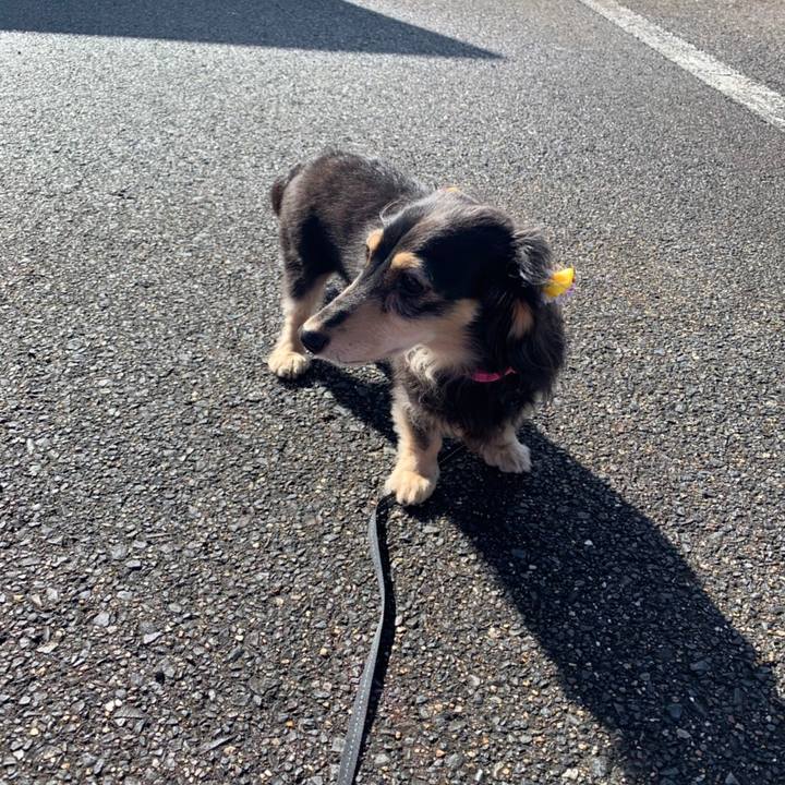 3de5a773 1857 43d7 9ea1 9af096627688 1571705052837