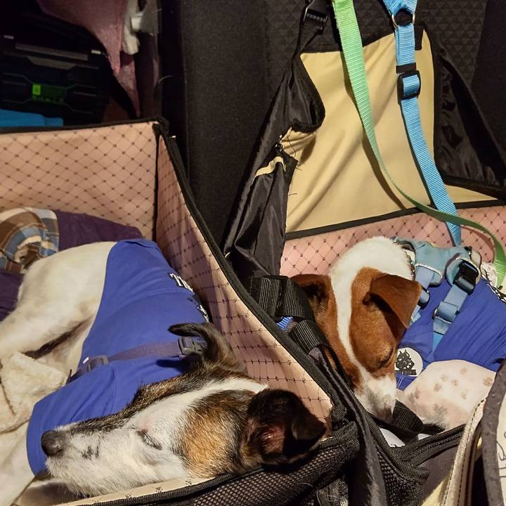 3de5b365 1c6d 460b a6b8 f230dcde6bc6 1663851580148